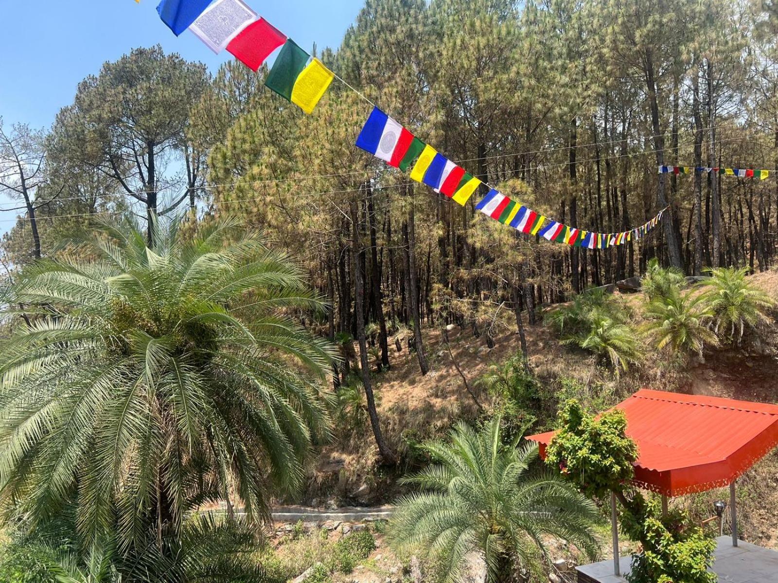 Tathastu Bir -Homestay ,Dorm,Hostel Esterno foto