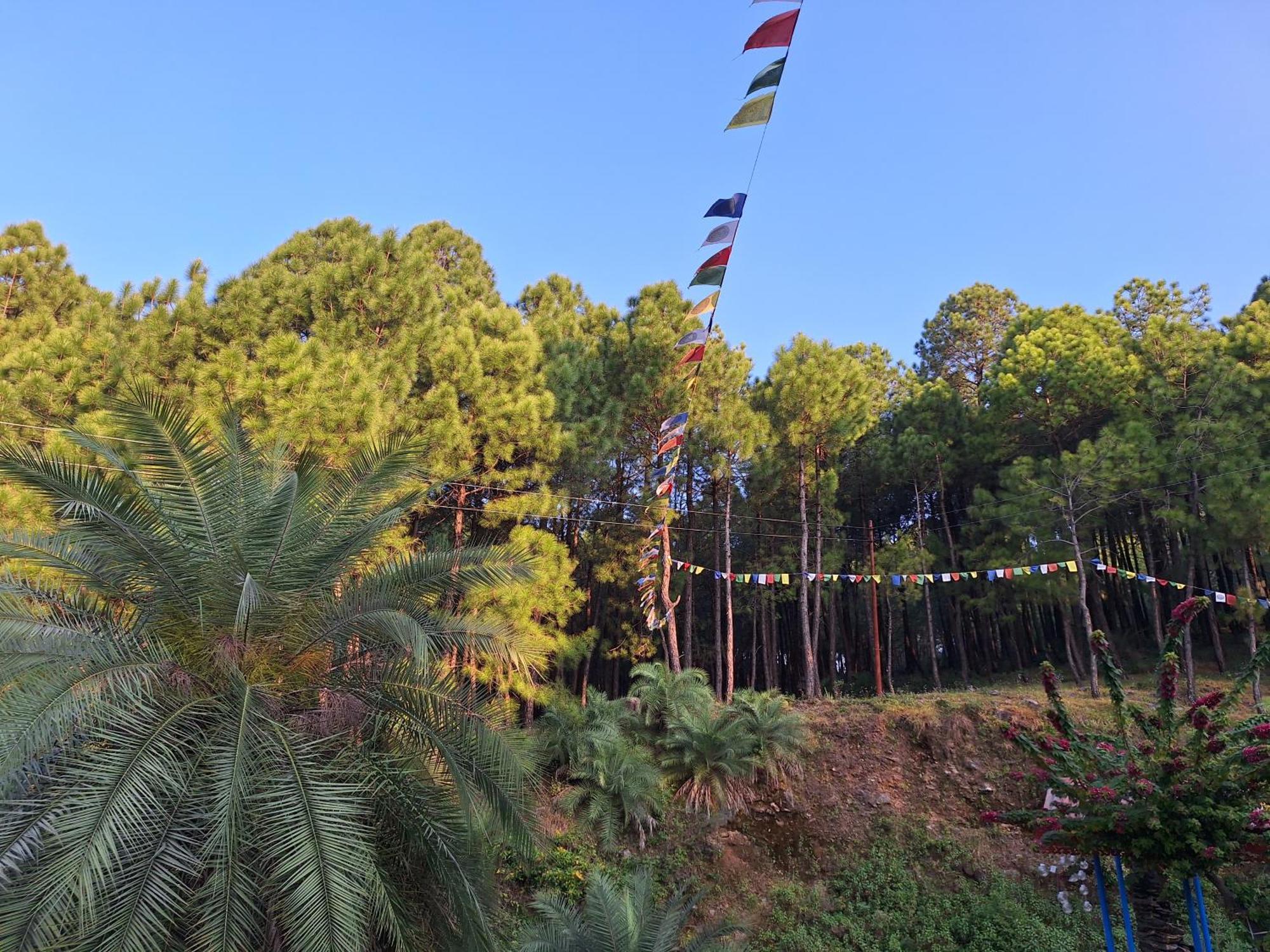 Tathastu Bir -Homestay ,Dorm,Hostel Esterno foto