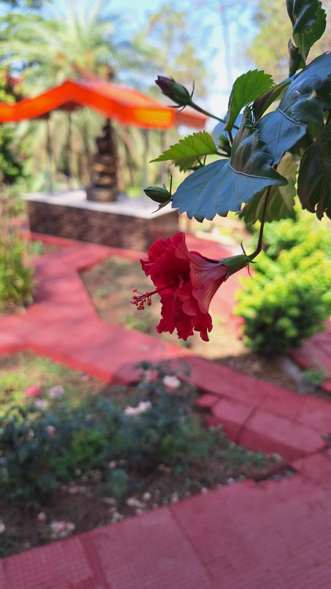 Tathastu Bir -Homestay ,Dorm,Hostel Esterno foto