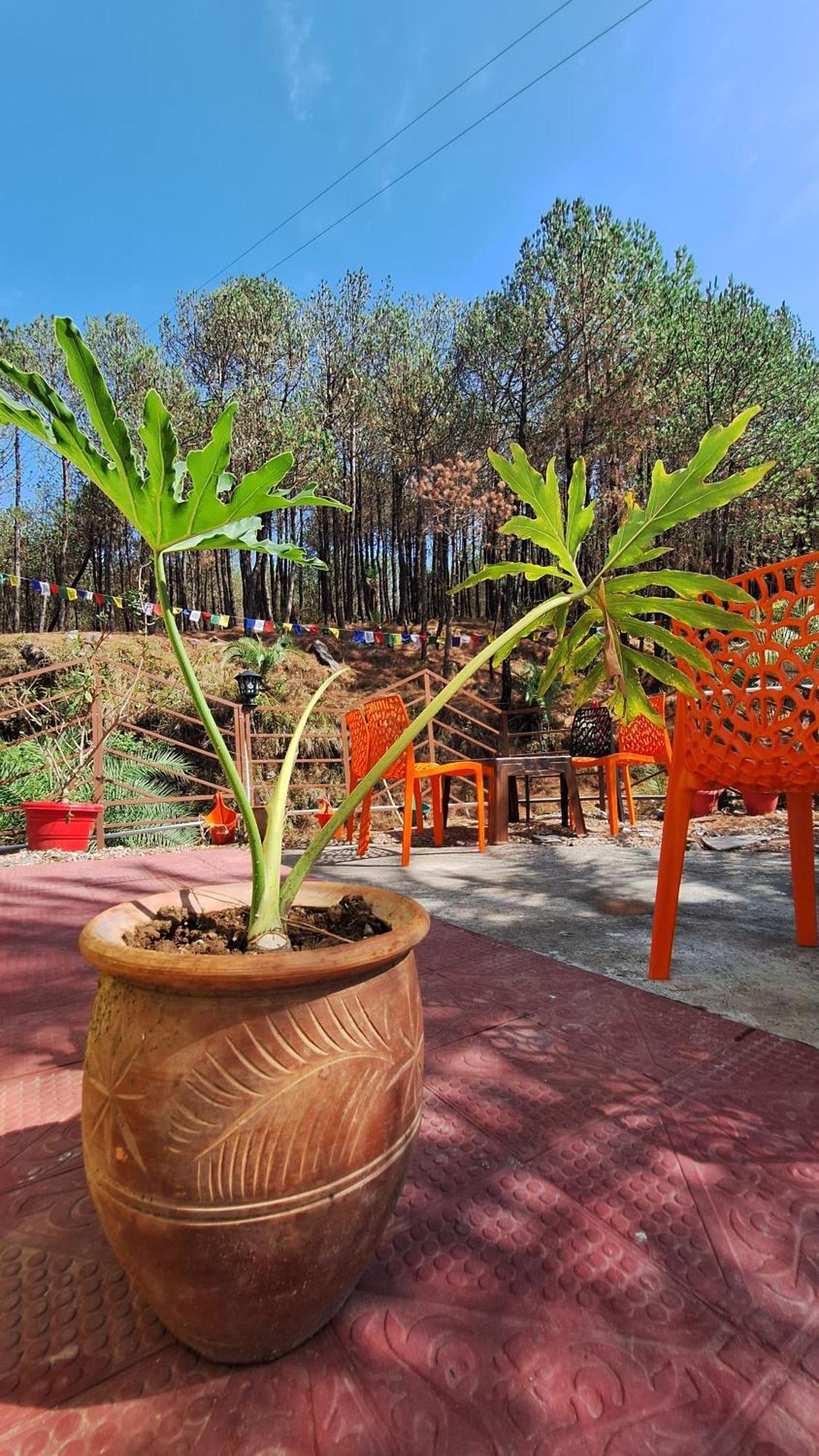 Tathastu Bir -Homestay ,Dorm,Hostel Esterno foto