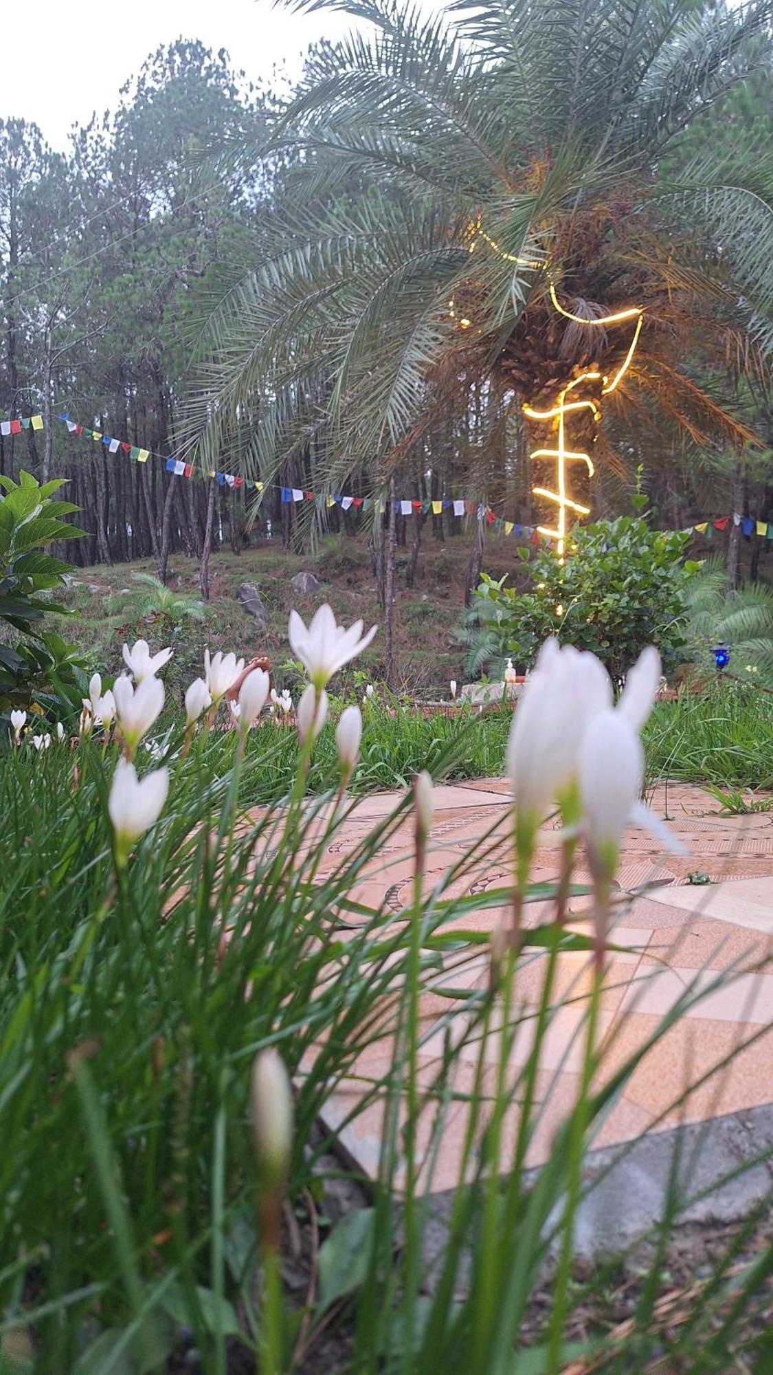 Tathastu Bir -Homestay ,Dorm,Hostel Esterno foto