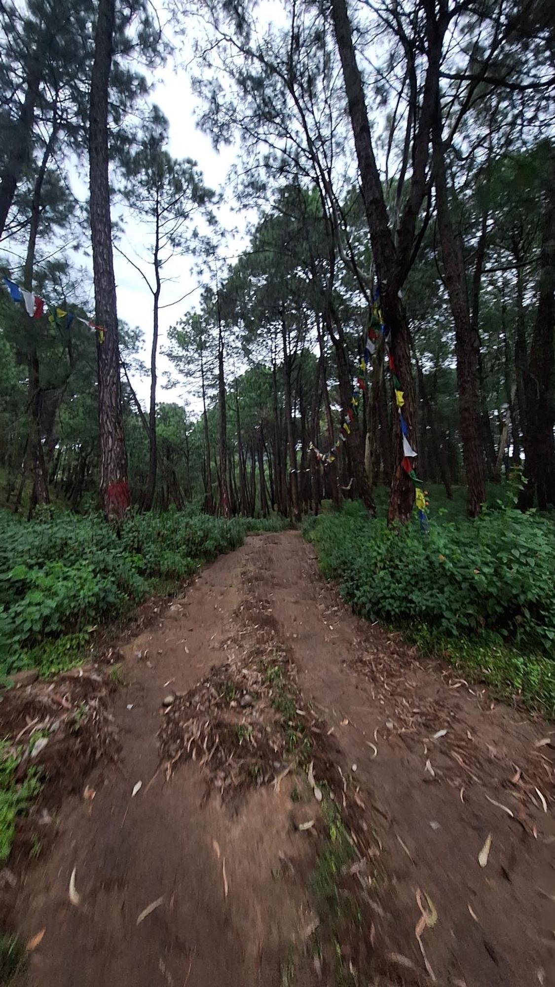 Tathastu Bir -Homestay ,Dorm,Hostel Esterno foto